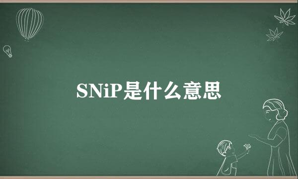 SNiP是什么意思