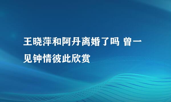 王晓萍和阿丹离婚了吗 曾一见钟情彼此欣赏