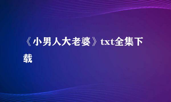 《小男人大老婆》txt全集下载