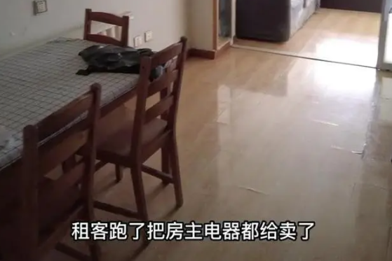 沈阳一男子卖掉房东电器去旅游，其行为是否涉嫌违法？