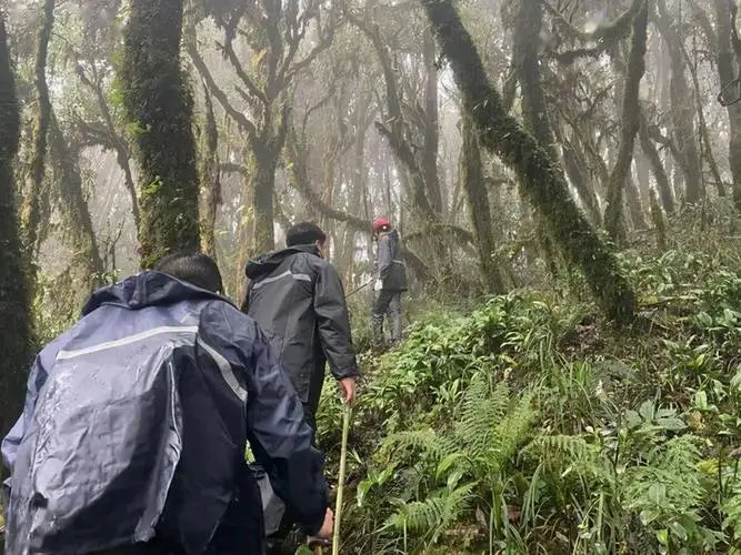 哀牢山4名地质人员殉职原因查明了，致其死亡的原因究竟是什么？