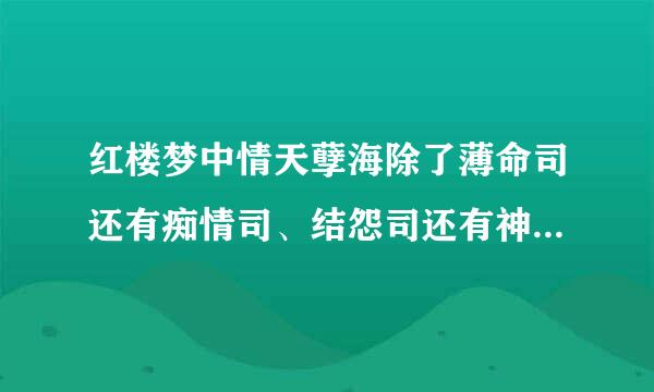 红楼梦中情天孽海除了薄命司还有痴情司、结怨司还有神马朝啼夜怨、春感秋悲之类的，这些到底是什么。。