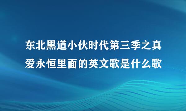 东北黑道小伙时代第三季之真爱永恒里面的英文歌是什么歌