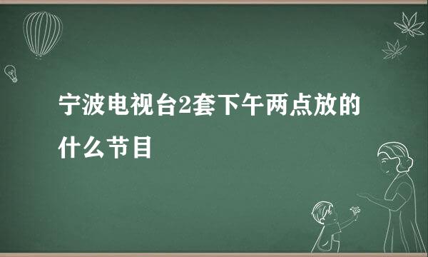 宁波电视台2套下午两点放的什么节目