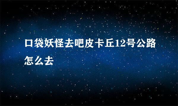 口袋妖怪去吧皮卡丘12号公路怎么去