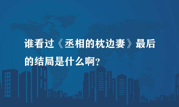 谁看过《丞相的枕边妻》最后的结局是什么啊？