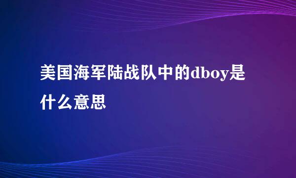 美国海军陆战队中的dboy是什么意思