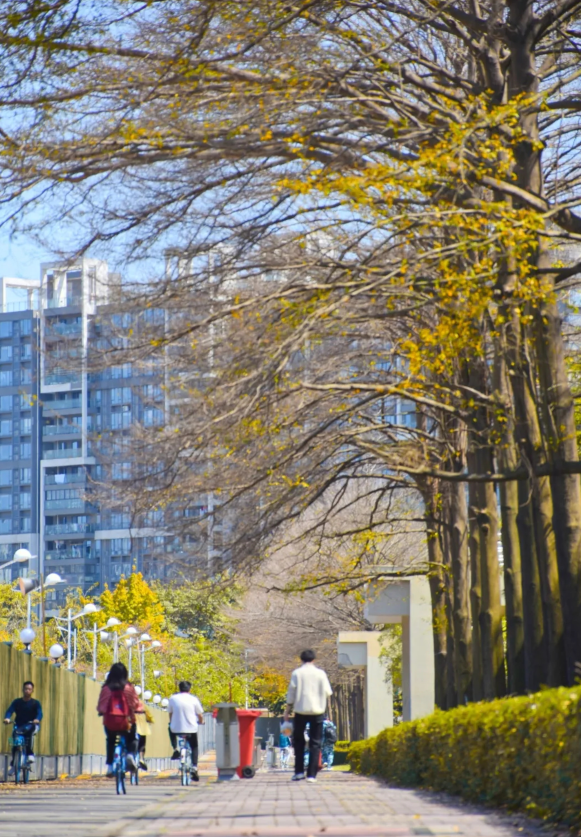 广东工业大学怎么样