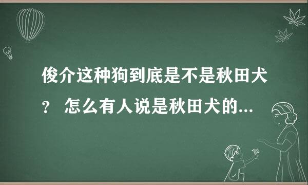 俊介这种狗到底是不是秋田犬？ 怎么有人说是秋田犬的幼犬。 我怎么看不像~