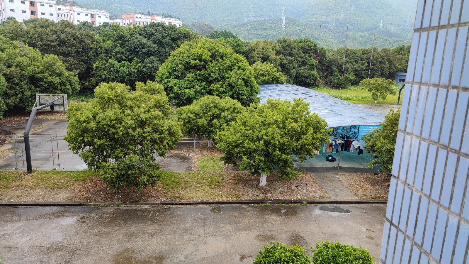 仰恩大学怎么样