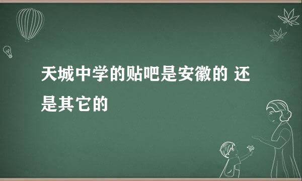 天城中学的贴吧是安徽的 还是其它的