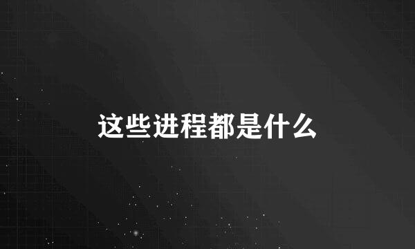 这些进程都是什么