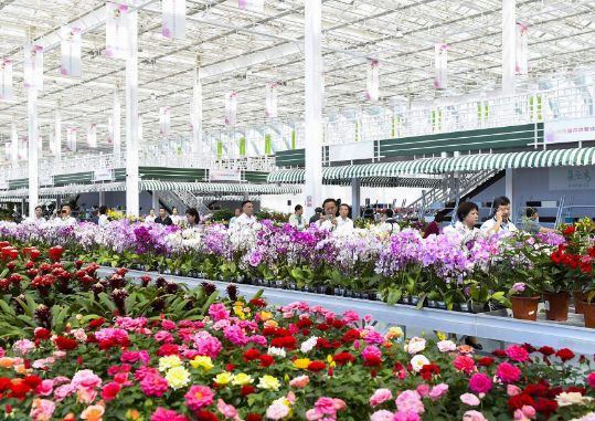 天津的大型花卉市场在哪里