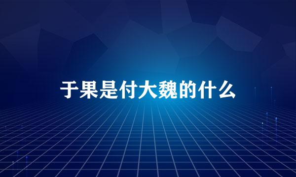 于果是付大魏的什么