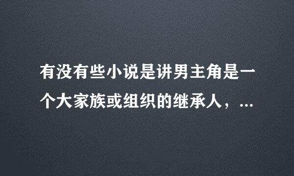 有没有些小说是讲男主角是一个大家族或组织的继承人，身手了得，有很多的女人！！