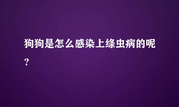 狗狗是怎么感染上绦虫病的呢？