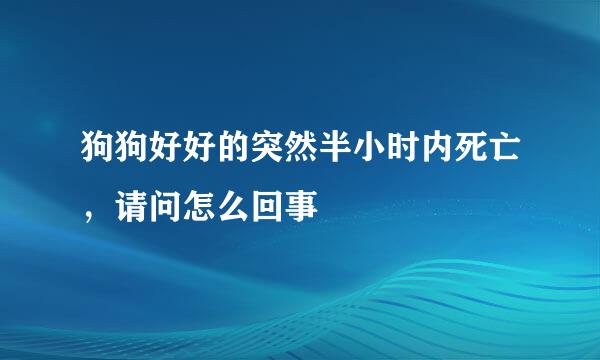 狗狗好好的突然半小时内死亡，请问怎么回事