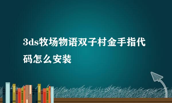 3ds牧场物语双子村金手指代码怎么安装