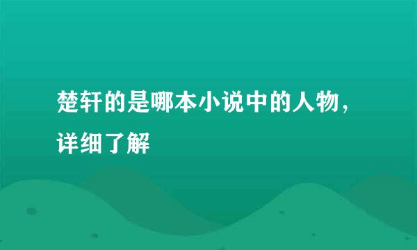 楚轩的是哪本小说中的人物，详细了解