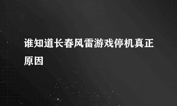 谁知道长春风雷游戏停机真正原因