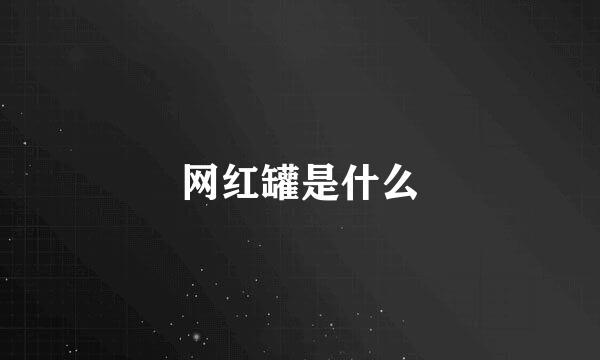 网红罐是什么