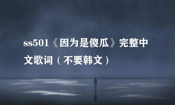 ss501《因为是傻瓜》完整中文歌词（不要韩文）