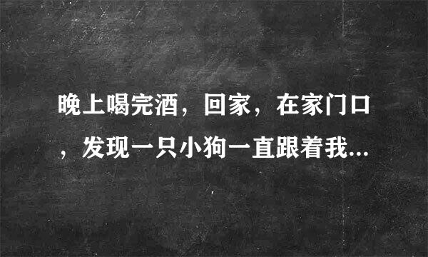 晚上喝完酒，回家，在家门口，发现一只小狗一直跟着我，我走哪它走哪，怎么办？