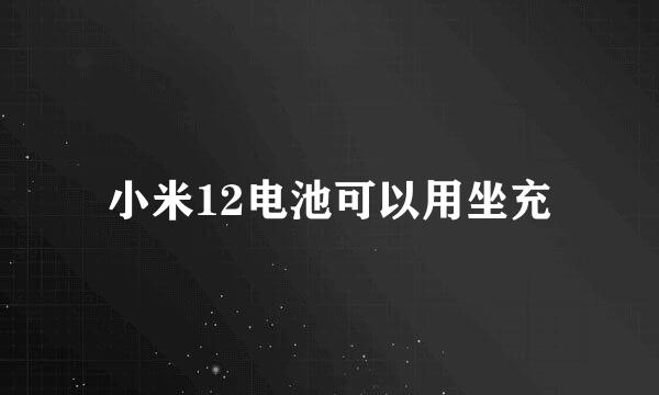 小米12电池可以用坐充