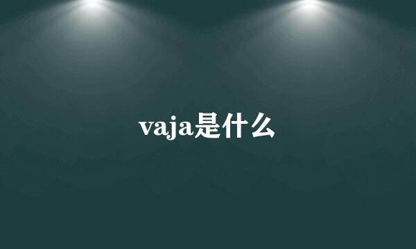 vaja是什么