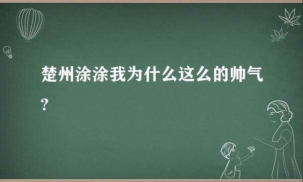 楚州涂涂我为什么这么的帅气?