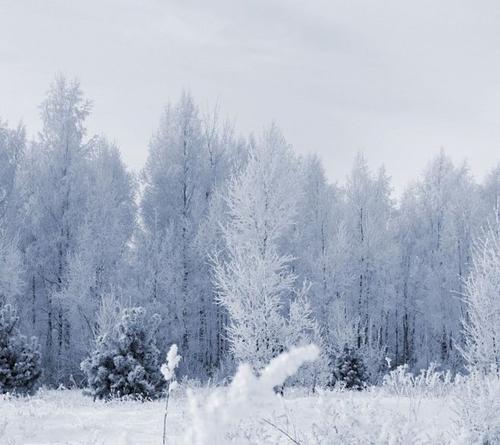 甘肃竟然下雪了！还在三伏天的甘肃为何会下雪？