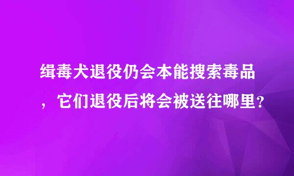 缉毒犬退役仍会本能搜索毒品，它们退役后将会被送往哪里？