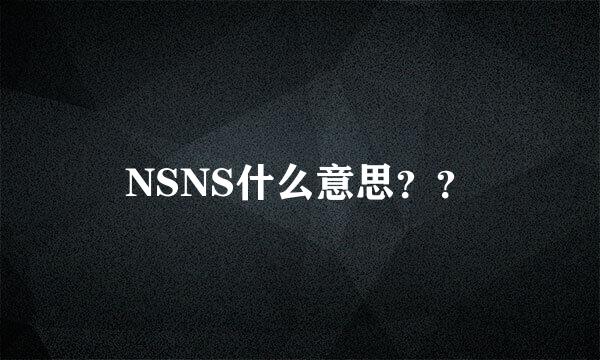 NSNS什么意思？？