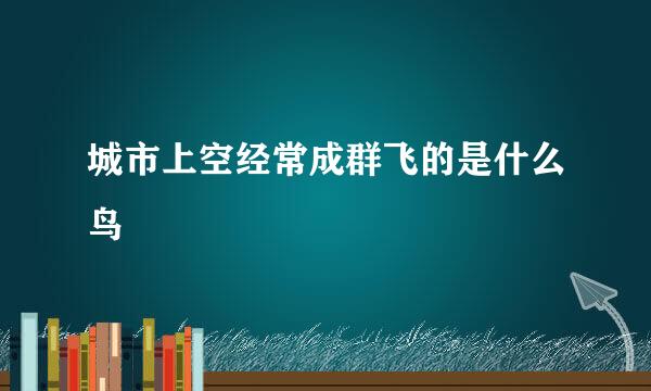 城市上空经常成群飞的是什么鸟