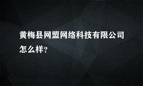 黄梅县网盟网络科技有限公司怎么样？