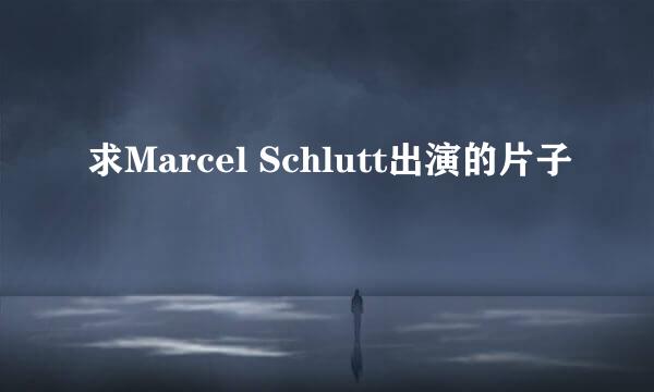 求Marcel Schlutt出演的片子