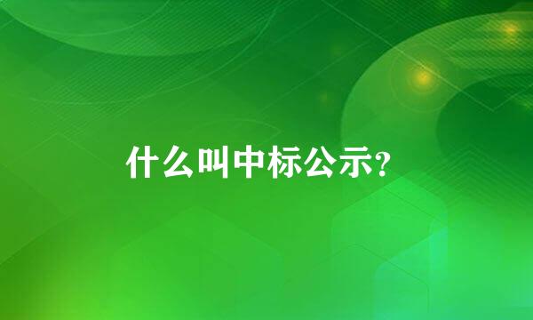 什么叫中标公示？