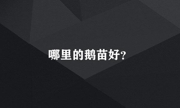 哪里的鹅苗好？