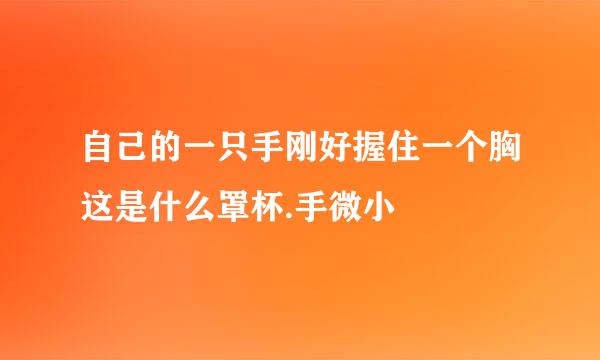 自己的一只手刚好握住一个胸这是什么罩杯.手微小