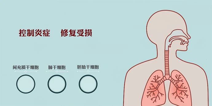 上海108岁老人出院，创重症新冠患者治愈年龄纪录，老人为何不易被治愈？