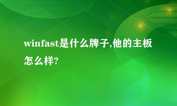 winfast是什么牌子,他的主板怎么样?