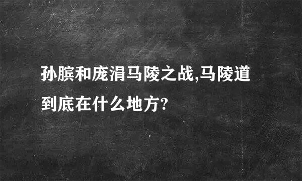 孙膑和庞涓马陵之战,马陵道到底在什么地方?