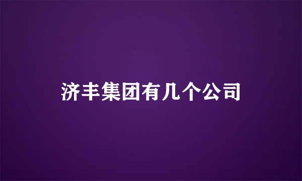 济丰集团有几个公司