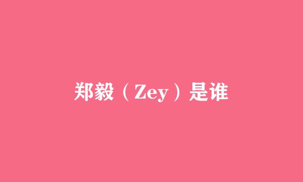 郑毅（Zey）是谁