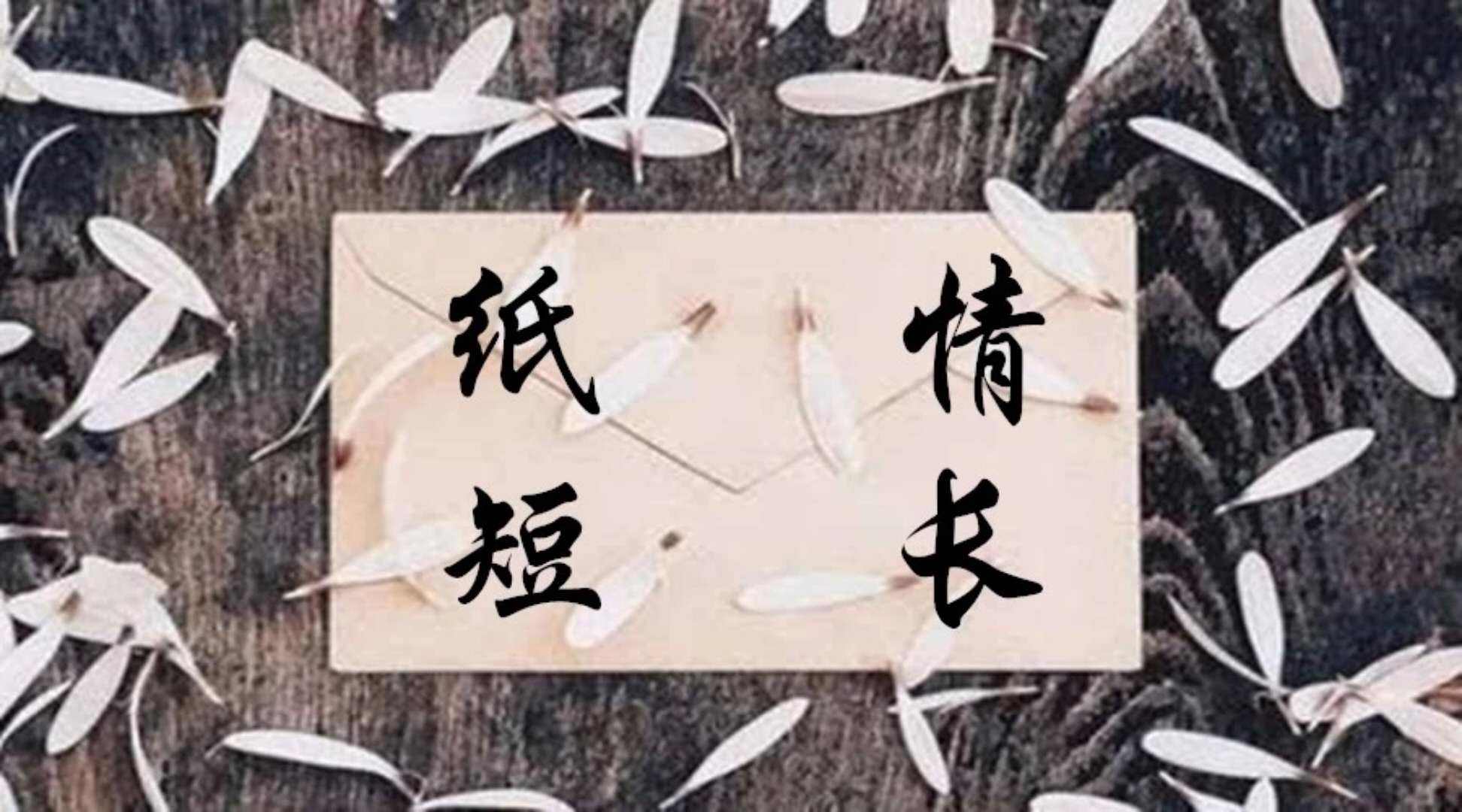 纸短情长什么意思