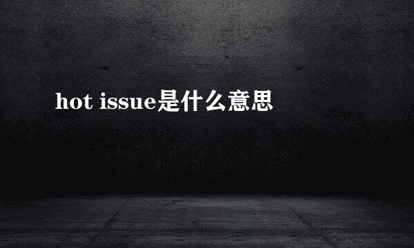 hot issue是什么意思