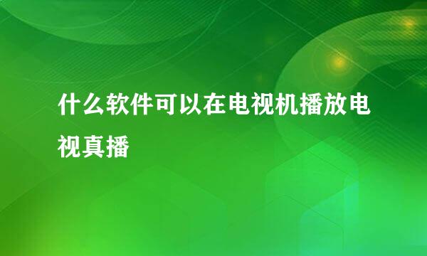 什么软件可以在电视机播放电视真播