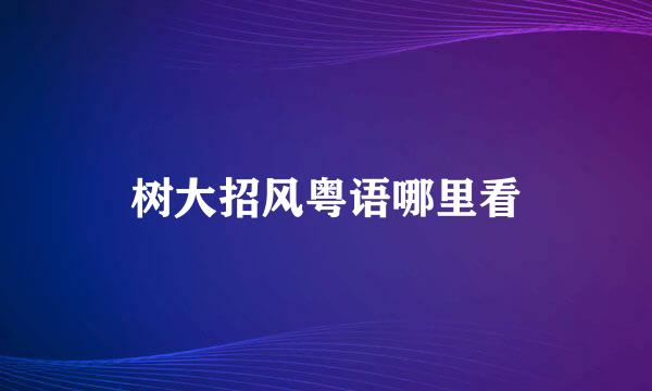 树大招风粤语哪里看