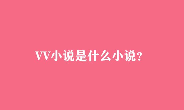 VV小说是什么小说？