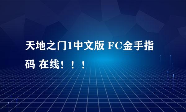 天地之门1中文版 FC金手指码 在线！！！